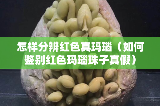 怎樣分辨紅色真瑪瑙（如何鑒別紅色瑪瑙珠子真假）