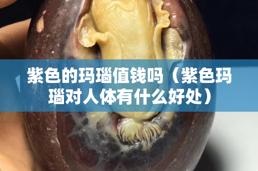 紫色的瑪瑙值錢嗎（紫色瑪瑙對(duì)人體有什么好處）