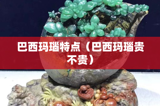 巴西瑪瑙特點（巴西瑪瑙貴不貴）
