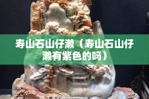 壽山石山仔瀨（壽山石山仔瀨有紫色的嗎）