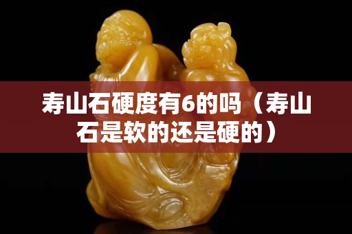 壽山石硬度有6的嗎（壽山石是軟的還是硬的）
