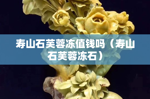壽山石芙蓉凍值錢嗎（壽山石芙蓉凍石）