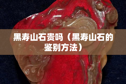 黑壽山石貴嗎（黑壽山石的鑒別方法）