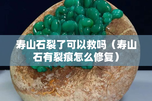 壽山石裂了可以救嗎（壽山石有裂痕怎么修復）