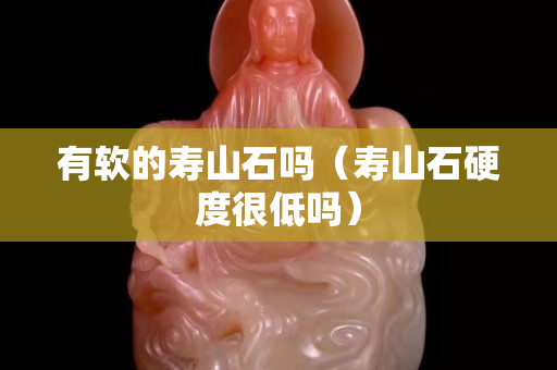 有軟的壽山石嗎（壽山石硬度很低嗎）