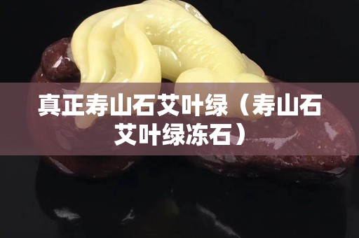 真正壽山石艾葉綠（壽山石艾葉綠凍石）