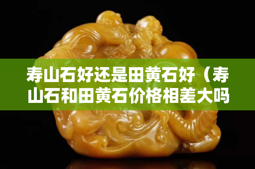 壽山石好還是田黃石好（壽山石和田黃石價格相差大嗎）