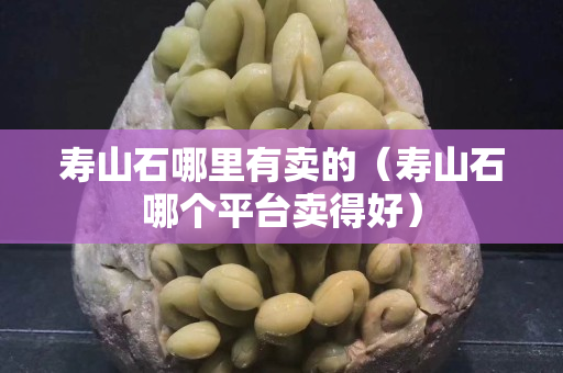 壽山石哪里有賣的（壽山石哪個平臺賣得好）