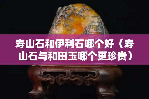 壽山石和伊利石哪個好（壽山石與和田玉哪個更珍貴）