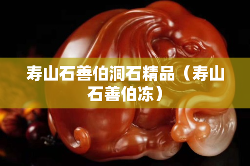 壽山石善伯洞石精品（壽山石善伯凍）