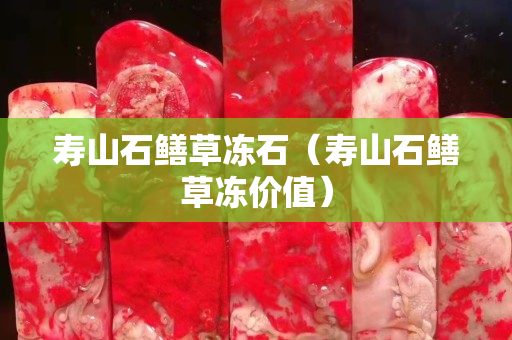 壽山石鱔草凍石（壽山石鱔草凍價值）