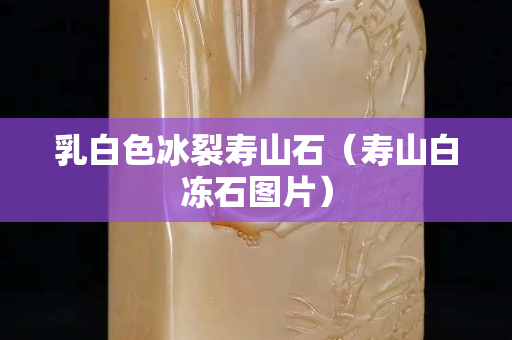 乳白色冰裂壽山石（壽山白凍石圖片）