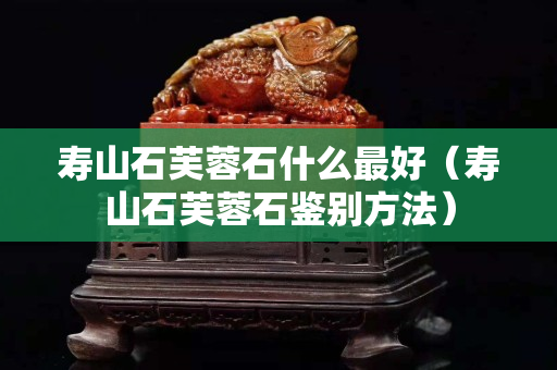 壽山石芙蓉石什么最好（壽山石芙蓉石鑒別方法）