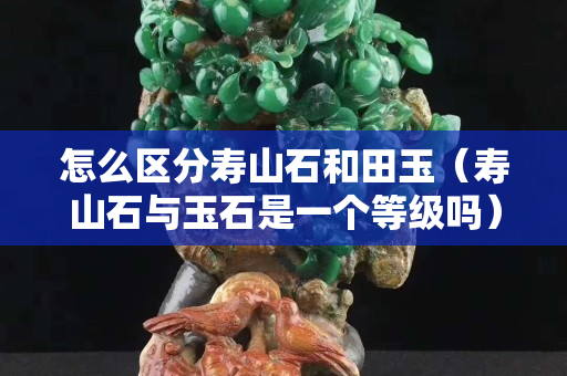 怎么區(qū)分壽山石和田玉（壽山石與玉石是一個等級嗎）