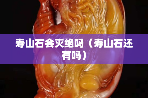 壽山石會(huì)滅絕嗎（壽山石還有嗎）