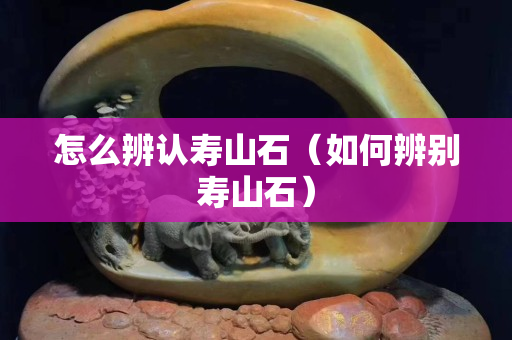怎么辨認壽山石（如何辨別壽山石）