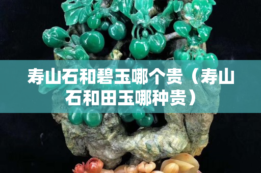 壽山石和碧玉哪個(gè)貴（壽山石和田玉哪種貴）