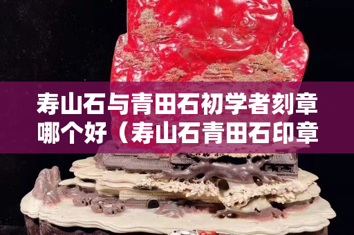 壽山石與青田石初學者刻章哪個好（壽山石青田石印章區別）