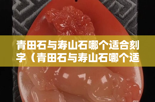 青田石與壽山石哪個適合刻字（青田石與壽山石哪個適合刻字用）