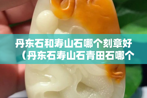 丹東石和壽山石哪個刻章好（丹東石壽山石青田石哪個好）