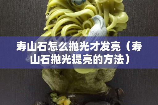 壽山石怎么拋光才發亮（壽山石拋光提亮的方法）