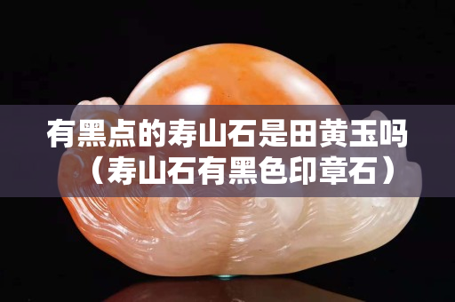 有黑點的壽山石是田黃玉嗎（壽山石有黑色印章石）