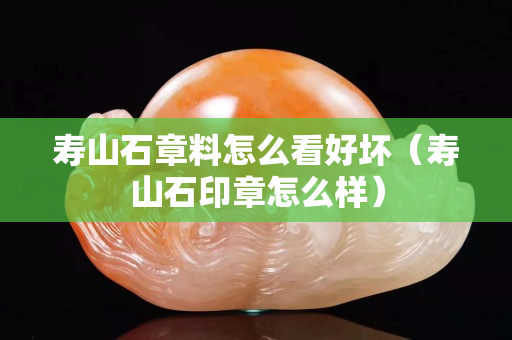 壽山石章料怎么看好壞（壽山石印章怎么樣）