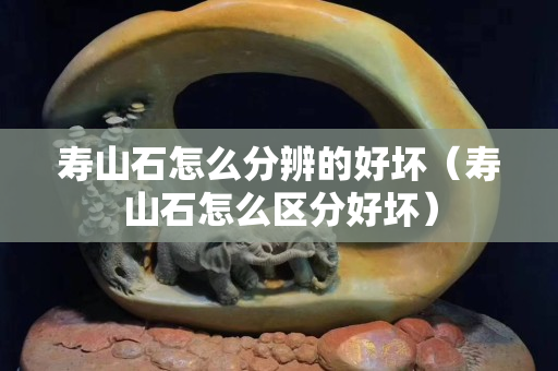 壽山石怎么分辨的好壞（壽山石怎么區(qū)分好壞）