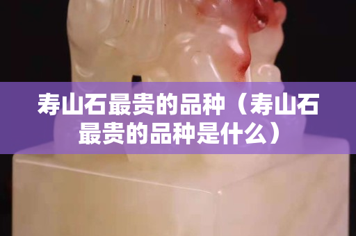 壽山石最貴的品種（壽山石最貴的品種是什么）