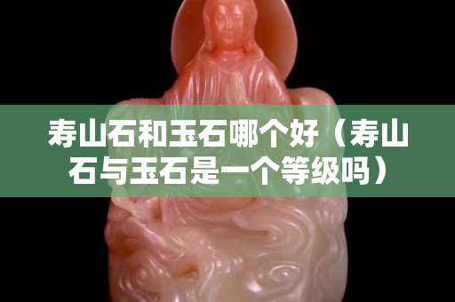 壽山石和玉石哪個好（壽山石與玉石是一個等級嗎）