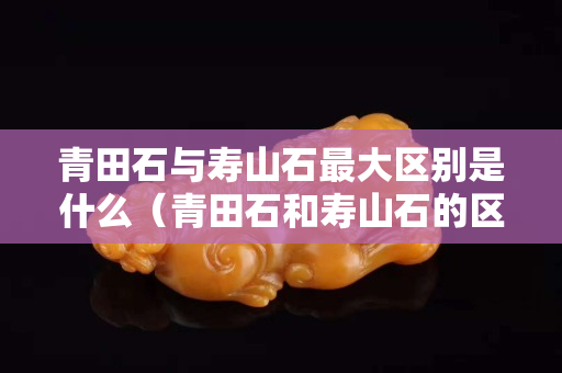 青田石與壽山石最大區別是什么（青田石和壽山石的區別）