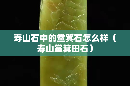 壽山石中的鱟箕石怎么樣（壽山鱟箕田石）