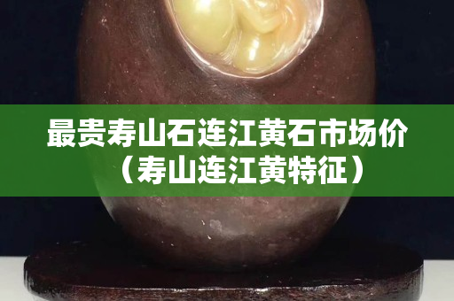 最貴壽山石連江黃石市場(chǎng)價(jià)（壽山連江黃特征）