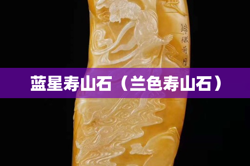 藍(lán)星壽山石（蘭色壽山石）
