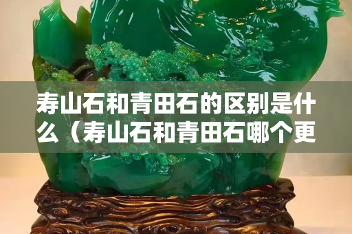 壽山石和青田石的區別是什么（壽山石和青田石哪個更有收藏價值）