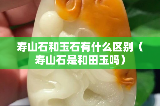 壽山石和玉石有什么區(qū)別（壽山石是和田玉嗎）