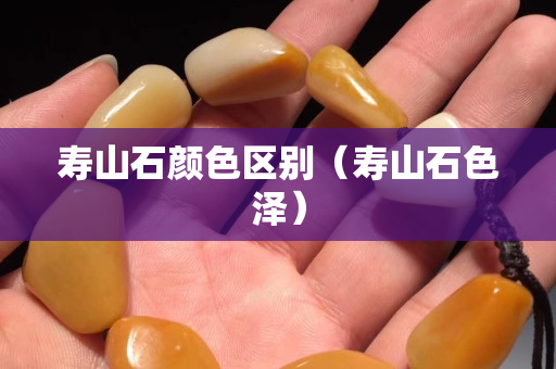 壽山石顏色區別（壽山石色澤）
