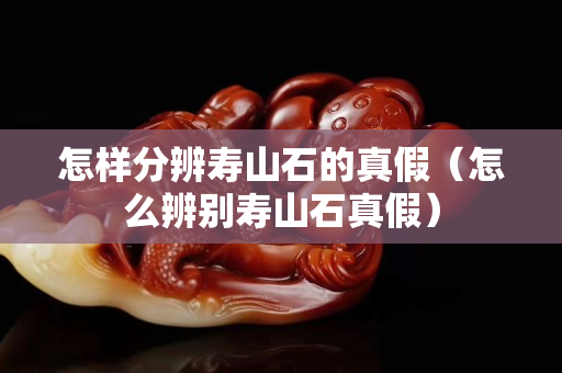 怎樣分辨壽山石的真假（怎么辨別壽山石真假）