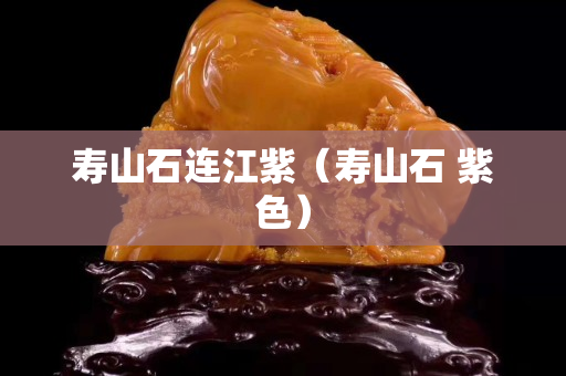壽山石連江紫（壽山石 紫色）