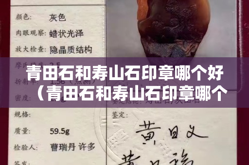 青田石和壽山石印章哪個好（青田石和壽山石印章哪個好看）