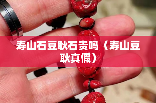 壽山石豆耿石貴嗎（壽山豆耿真假）