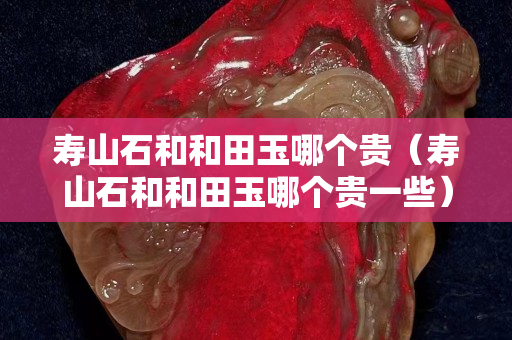 壽山石和和田玉哪個貴（壽山石和和田玉哪個貴一些）