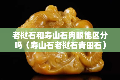 老撾石和壽山石肉眼能區分嗎（壽山石老撾石青田石）
