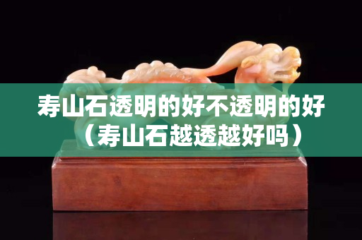 壽山石透明的好不透明的好（壽山石越透越好嗎）