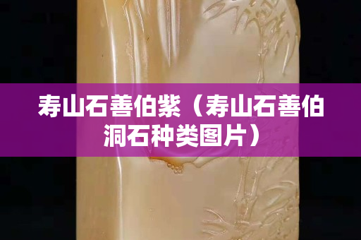 壽山石善伯紫（壽山石善伯洞石種類圖片）
