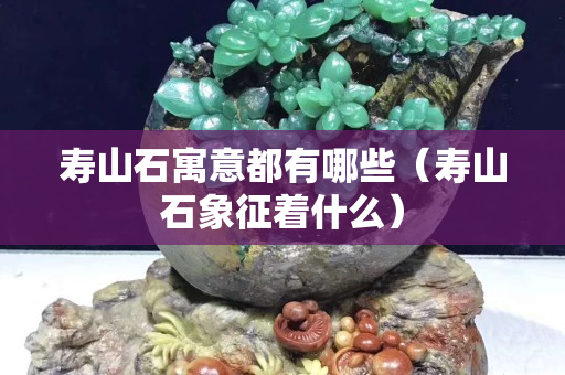 壽山石寓意都有哪些（壽山石象征著什么）
