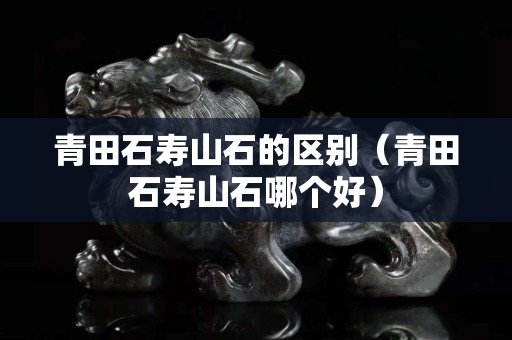 青田石壽山石的區別（青田石壽山石哪個好）