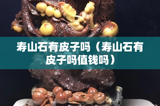 壽山石有皮子嗎（壽山石有皮子嗎值錢嗎）