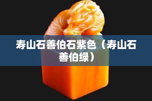 壽山石善伯石紫色（壽山石善伯綠）