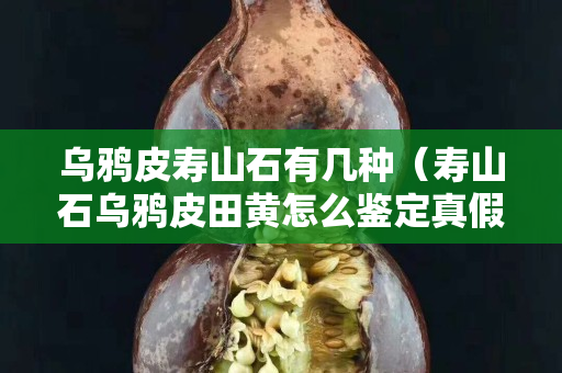 烏鴉皮壽山石有幾種（壽山石烏鴉皮田黃怎么鑒定真假）